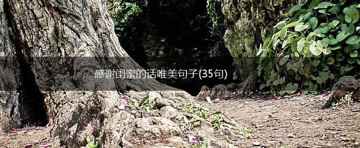 感谢闺蜜的话唯美句子(35句),第1张