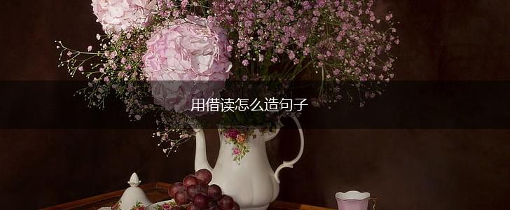 用借读怎么造句子,第1张