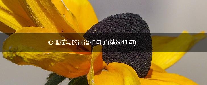 心理描写的词语和句子(精选41句),第1张