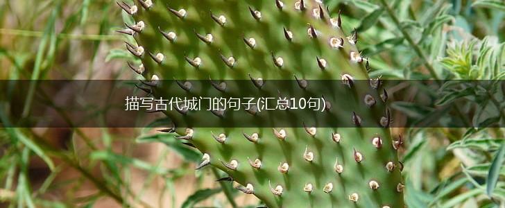 描写古代城门的句子(汇总10句),第1张