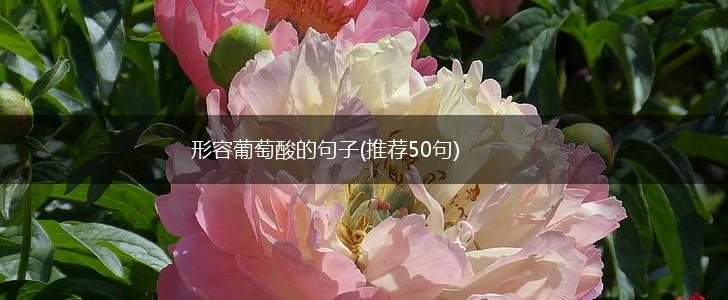 形容葡萄酸的句子(推荐50句),第1张