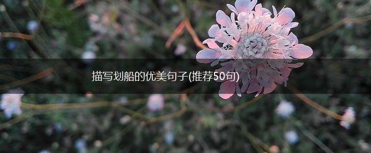 描写划船的优美句子(推荐50句),第1张