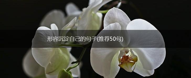形容沉淀自己的句子(推荐50句),第1张