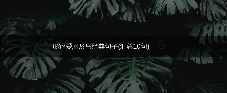 形容爱屋及乌经典句子(汇总10句),第1张