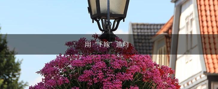 用“下嫁”造句,第1张