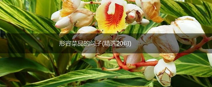 形容菜品的句子(精选20句),第1张