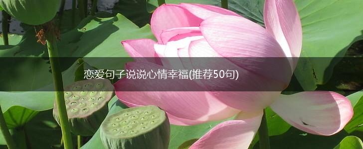 恋爱句子说说心情幸福(推荐50句),第1张