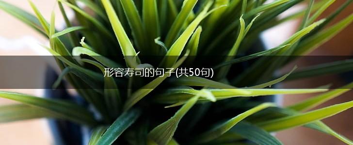 形容寿司的句子(共50句),第1张