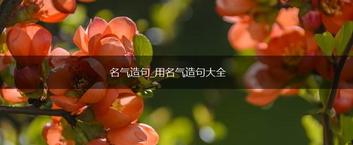 名气造句_用名气造句大全,第1张