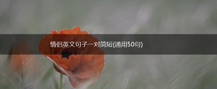 情侣英文句子一对简短(通用50句),第1张