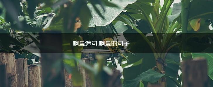 响鼻造句,响鼻的句子,第1张