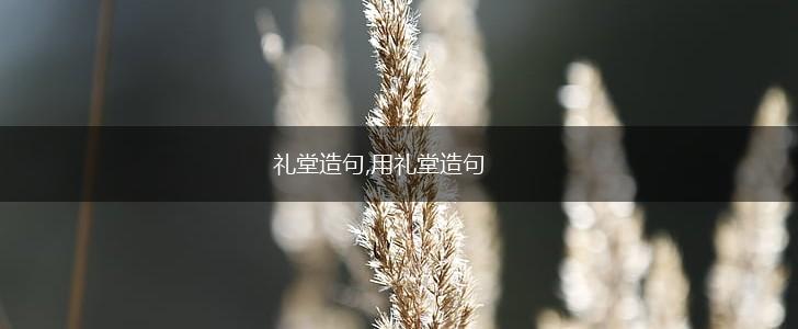 礼堂造句,用礼堂造句,第1张
