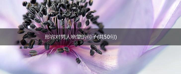 形容对男人绝望的句子(共50句),第1张