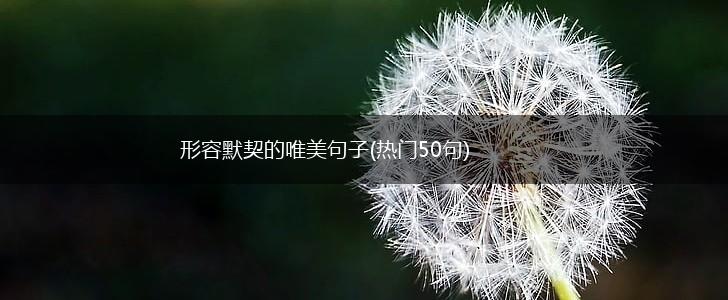 形容默契的唯美句子(热门50句),第1张