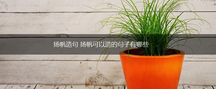扬帆造句 扬帆可以造的句子有哪些,第1张