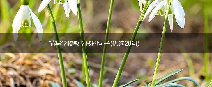 描写学校教学楼的句子(优选20句),第1张