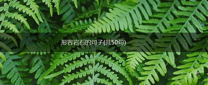 形容岩石的句子(共50句),第1张
