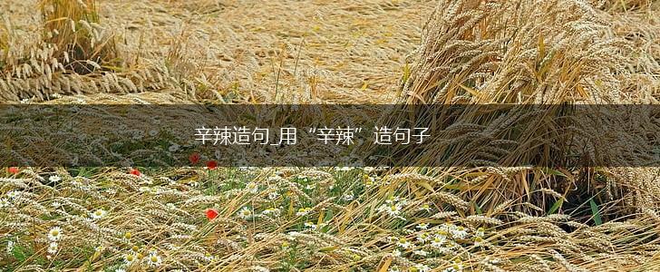 辛辣造句_用“辛辣”造句子,第1张