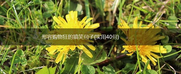 形容购物狂的搞笑句子(实用40句),第1张
