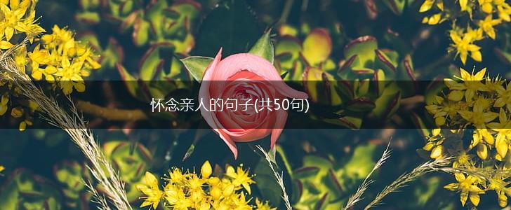 怀念亲人的句子(共50句),第1张