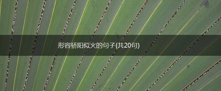 形容骄阳似火的句子(共20句),第1张