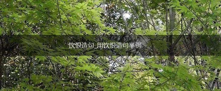 饮恨造句_用饮恨造句举例,第1张