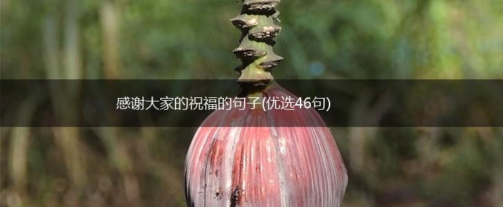 感谢大家的祝福的句子(优选46句),第1张