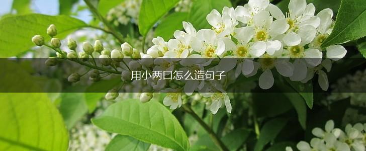 用小两口怎么造句子,第1张