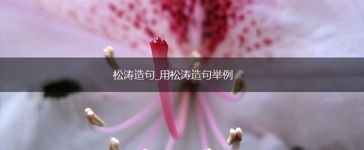 松涛造句_用松涛造句举例,第1张