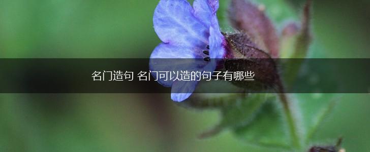 名门造句 名门可以造的句子有哪些,第1张
