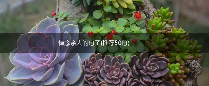 悼念亲人的句子(推荐50句),第1张
