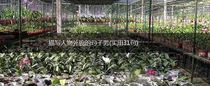 描写人物外貌的句子男(实用31句),第1张