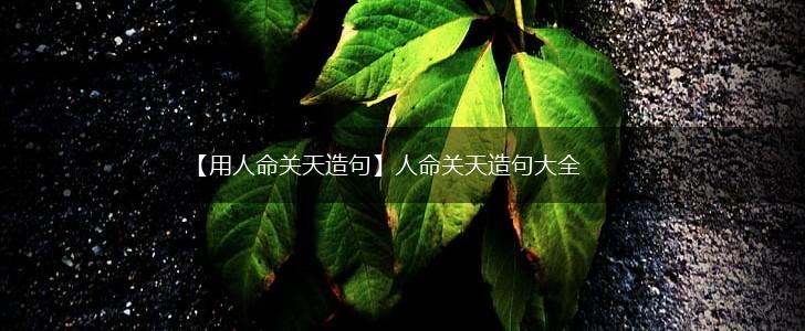 【用人命关天造句】人命关天造句大全,第1张