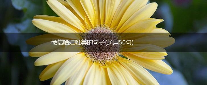 微信晒娃唯美的句子(通用50句),第1张