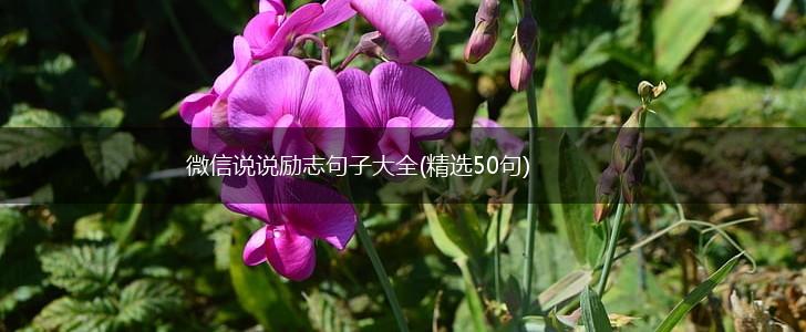 微信说说励志句子大全(精选50句),第1张