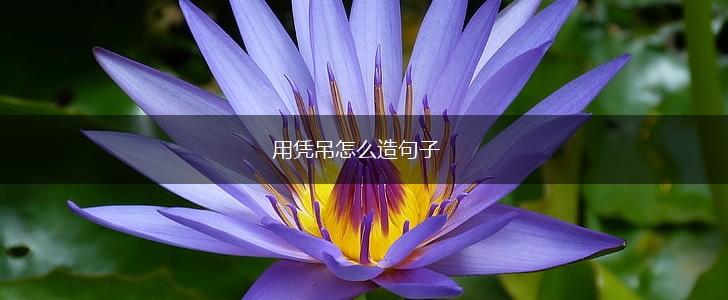 用凭吊怎么造句子,第1张