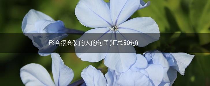 形容很会装的人的句子(汇总50句),第1张
