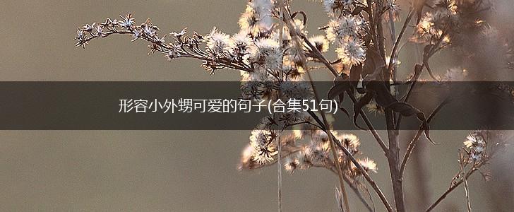 形容小外甥可爱的句子(合集51句),第1张