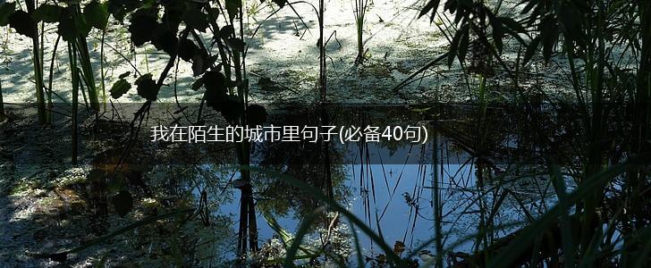 我在陌生的城市里句子(必备40句),第1张