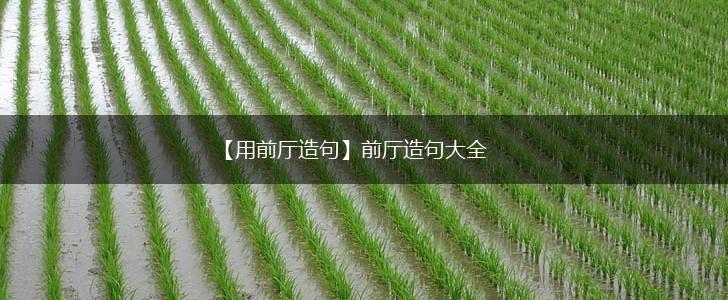 【用前厅造句】前厅造句大全,第1张