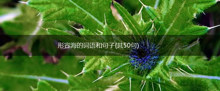 形容海的词语和句子(共50句),第1张