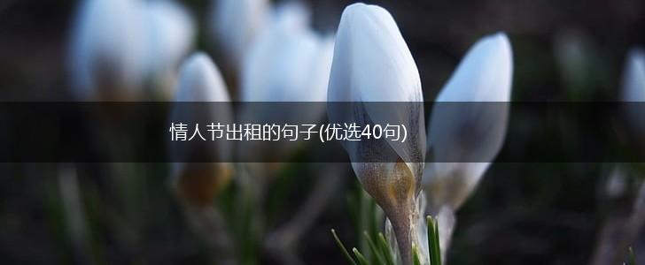 情人节出租的句子(优选40句),第1张