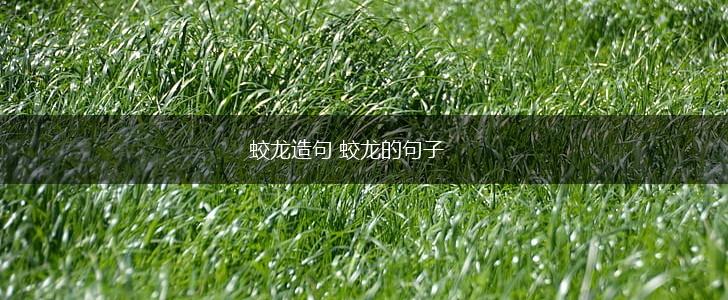 蛟龙造句 蛟龙的句子,第1张