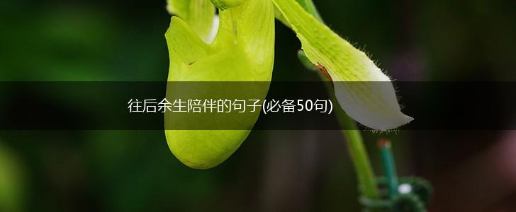 往后余生陪伴的句子(必备50句),第1张