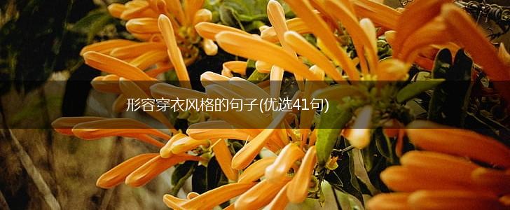 形容穿衣风格的句子(优选41句),第1张