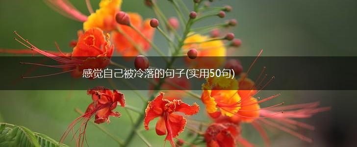 感觉自己被冷落的句子(实用50句),第1张