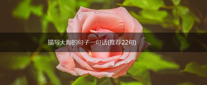 描写大海的句子一句话(推荐22句),第1张