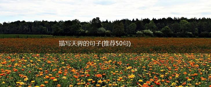 描写天界的句子(推荐50句),第1张