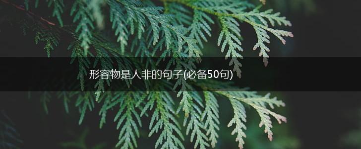 形容物是人非的句子(必备50句),第1张