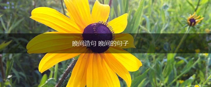 晚间造句 晚间的句子,第1张